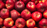 Domowy ocet jabłkowy - przepis